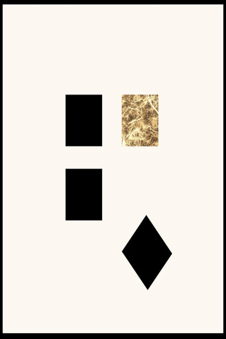 DAWN 4